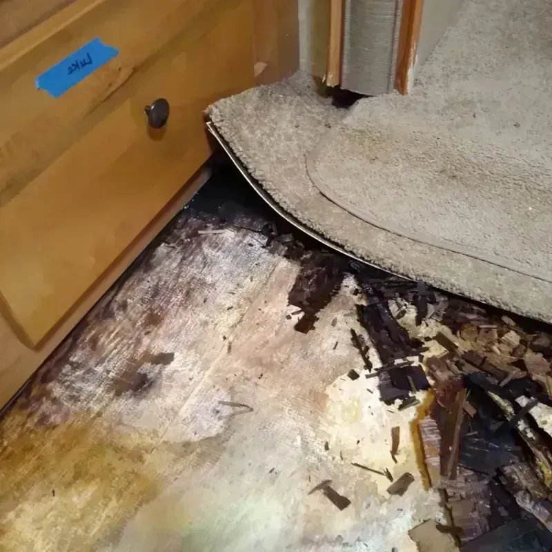 Wood Floor Water Damage in Avon-by-the-Sea, NJ